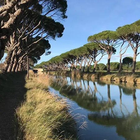 Villa Pintourina Et Sallèles-dʼAude